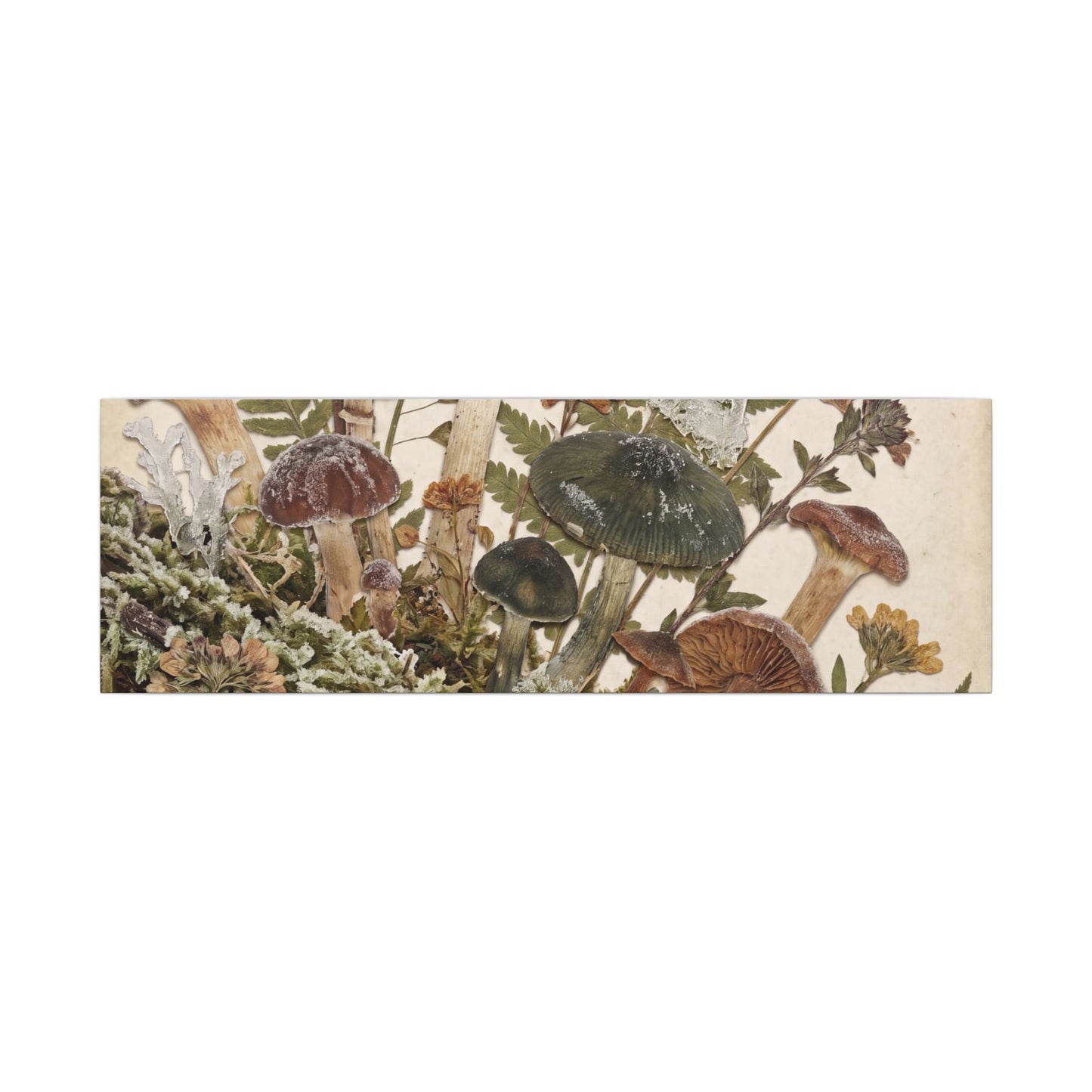 Winter Wild Mushrooms Herbarium Canvas Art | Enchanting Decor