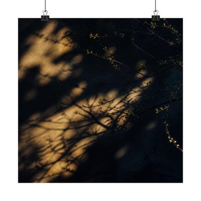 Shadow Play Spring Wall Art Print | Dark Japandi Bold Design