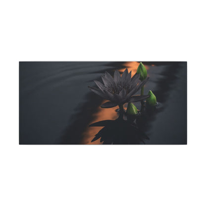 Seijaku Lotus Flower Canvas Art - Dark Japandi Shadow Zen