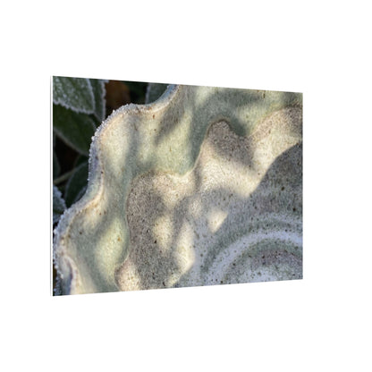 Dappled Ceramic Bowl Canvas Art - Japandi Seijaku