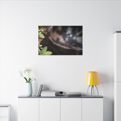 Ceramic Bowl Shadow Zen Canvas Art | Moody Dark Japandi Art