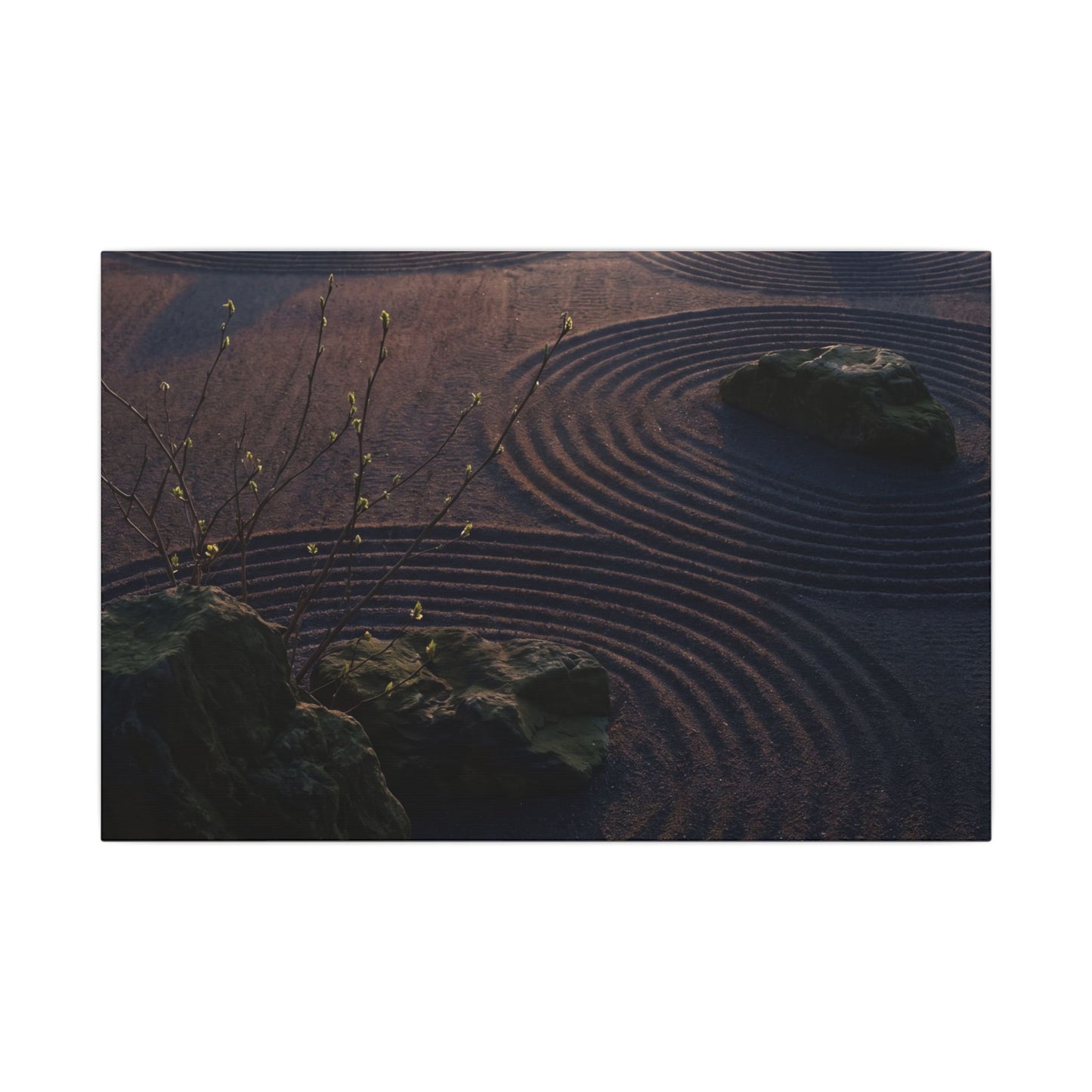 Spring Rock Garden Shadow Zen Canvas Art | Luxurious Decor