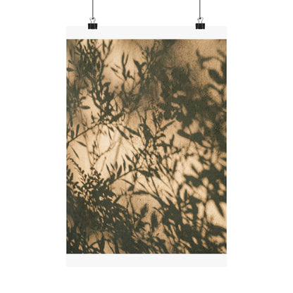 Shibui Shadow Play Wall Art Print - Japandi Minimal Line Art Print