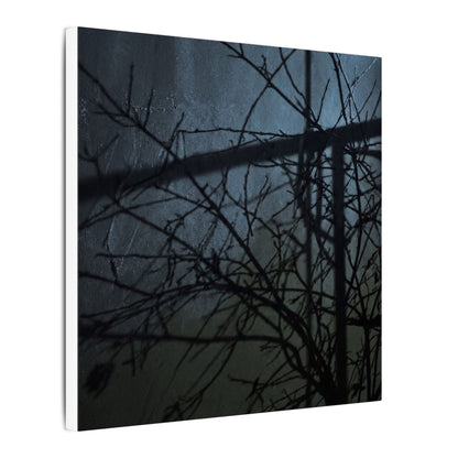 Moonlight Shadow Play Canvas Art - Dark Japandi Shibui