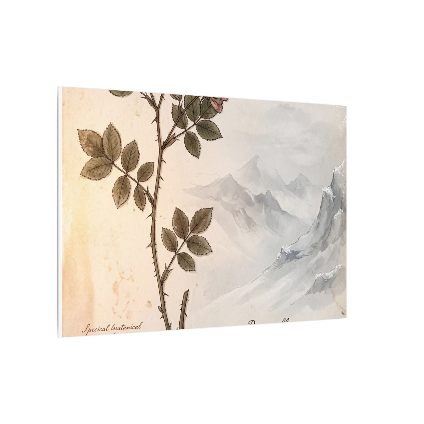 Winter Mountain Mist Herbarium Canvas Art | Earthy Decor