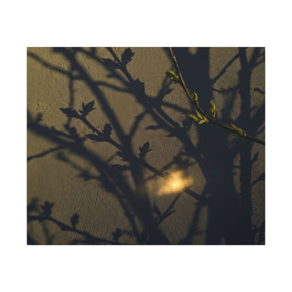 Bold Shadow Play Canvas Art - Moody Minimal Dark Japandi