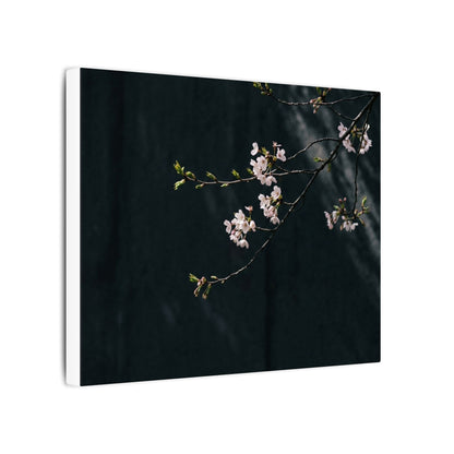 Cherry Blossom Spring Canvas Art | Dark Japandi Sophisticated Design