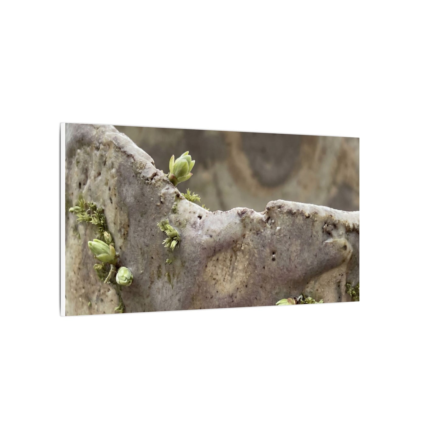 Overcast Ceramic Bowl Canvas Art - Japandi Fukinsei