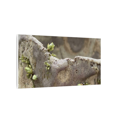 Overcast Ceramic Bowl Canvas Art - Japandi Fukinsei