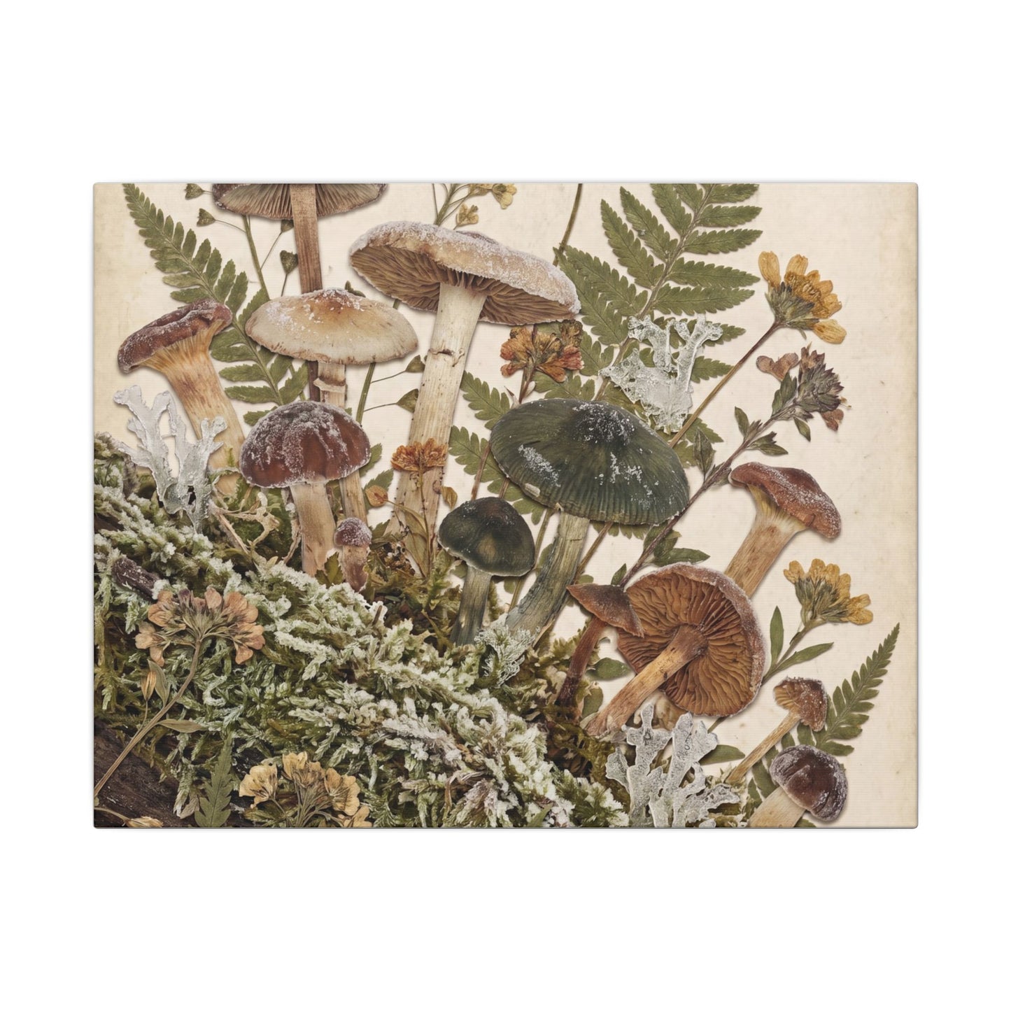Winter Wild Mushrooms Herbarium Canvas Art | Enchanting Decor