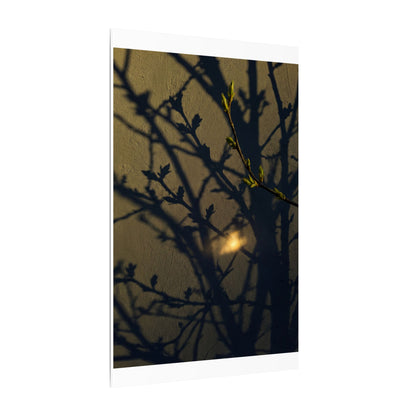 Bold Shadow Play Canvas Art - Moody Minimal Dark Japandi Art Print