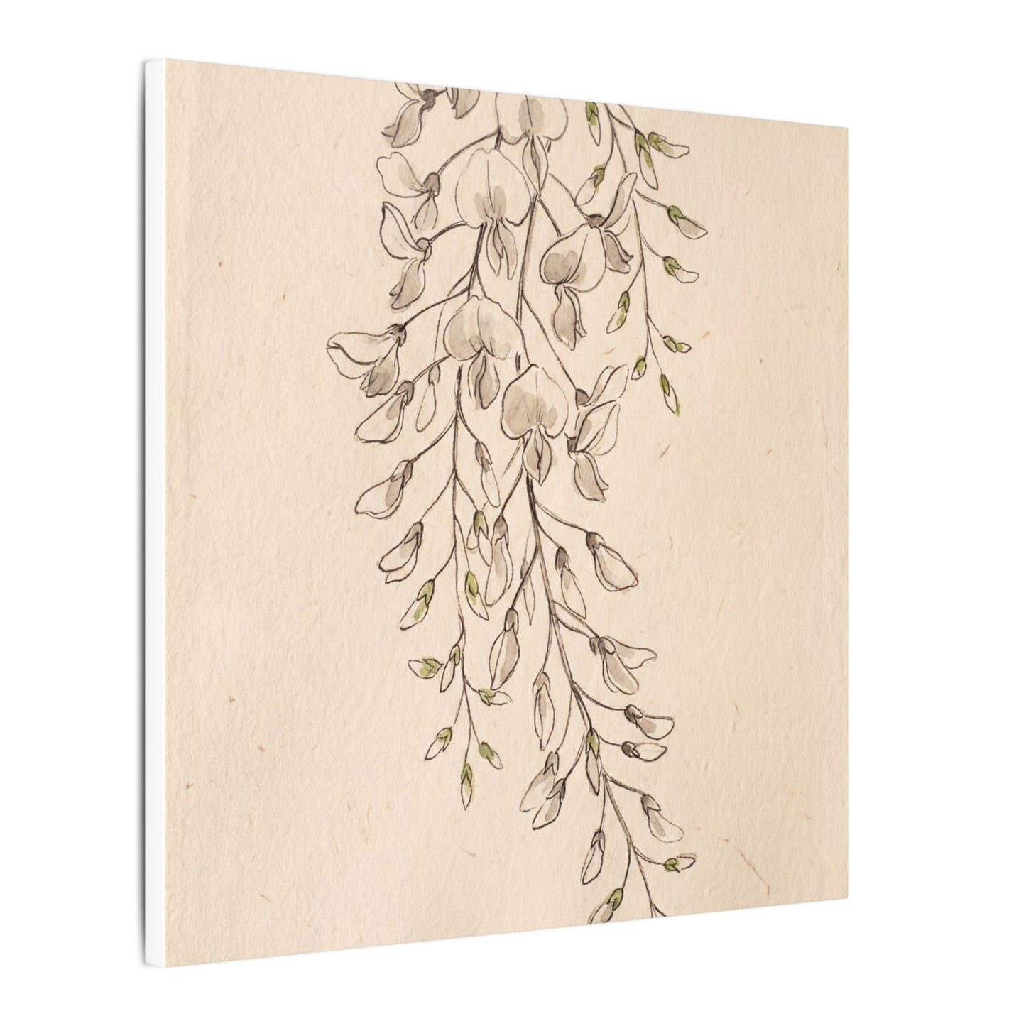 Japandi Wisteria in Golden Hour | Minimal Line Canvas Art