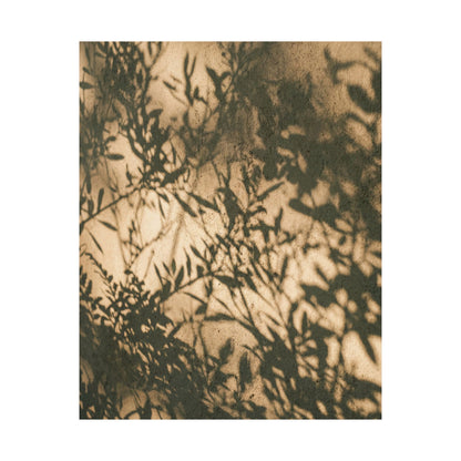 Shibui Shadow Play Wall Art Print - Japandi Minimal Line