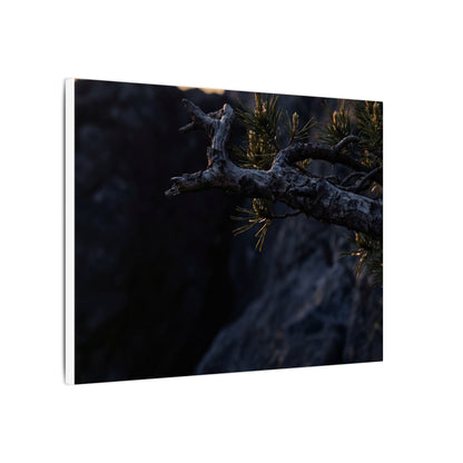 Pine Tree Moody Minimal Canvas Art | Sophisticated Dark Japandi Art