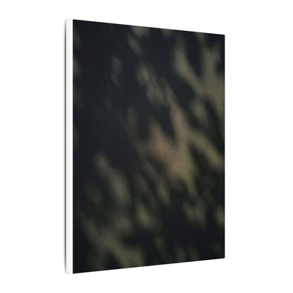 Dappled Shadow Play Canvas Art - Dark Japandi Ma