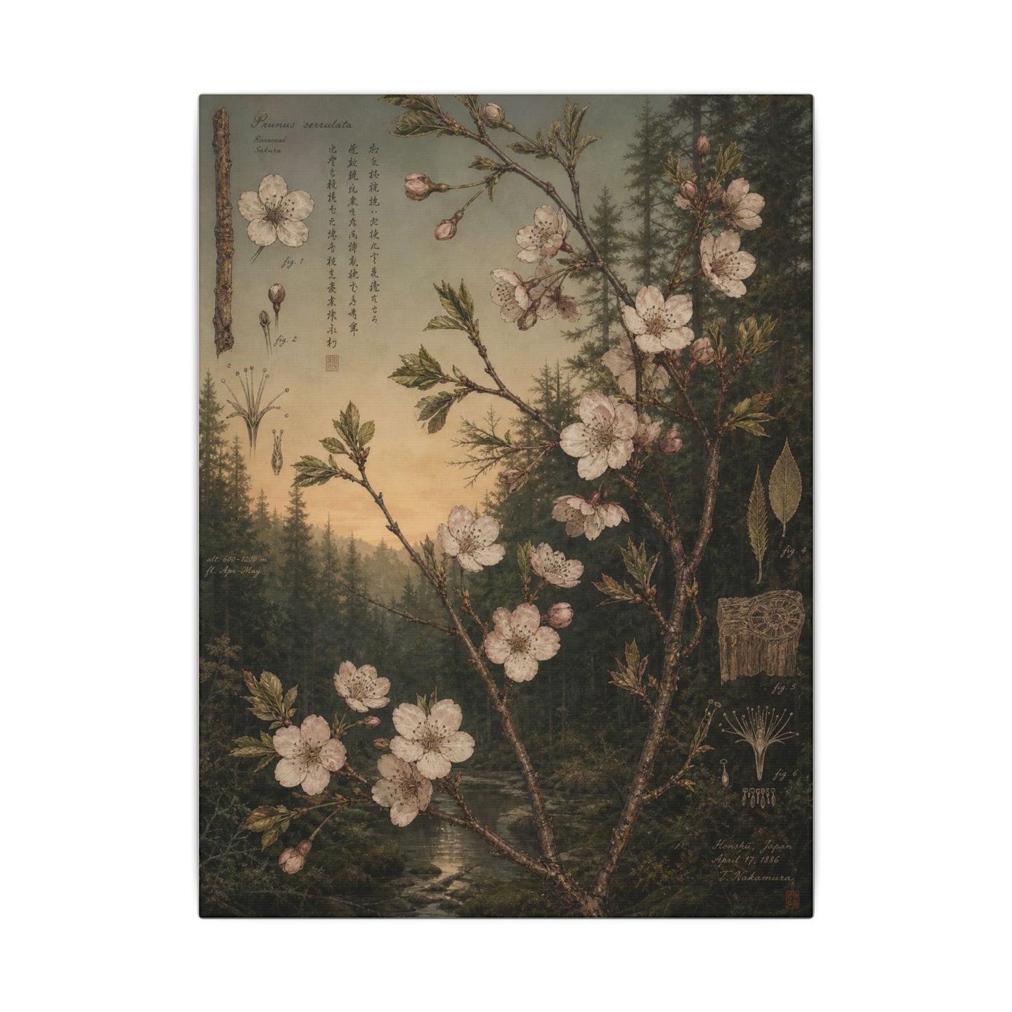 Spring Cherry Blossom Herbarium Canvas Art | Nostalgic Decor