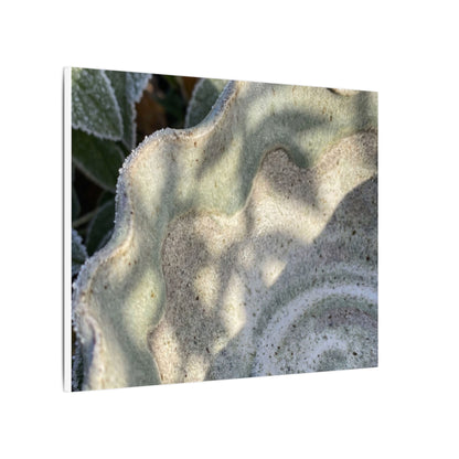 Dappled Ceramic Bowl Canvas Art - Japandi Seijaku