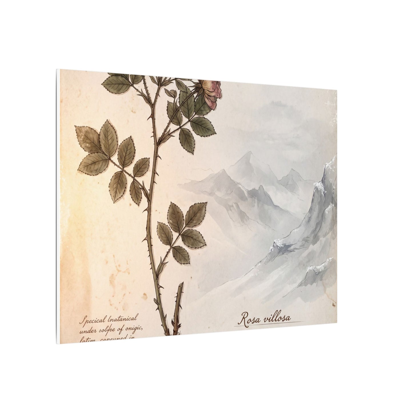 Winter Mountain Mist Herbarium Canvas Art | Earthy Decor
