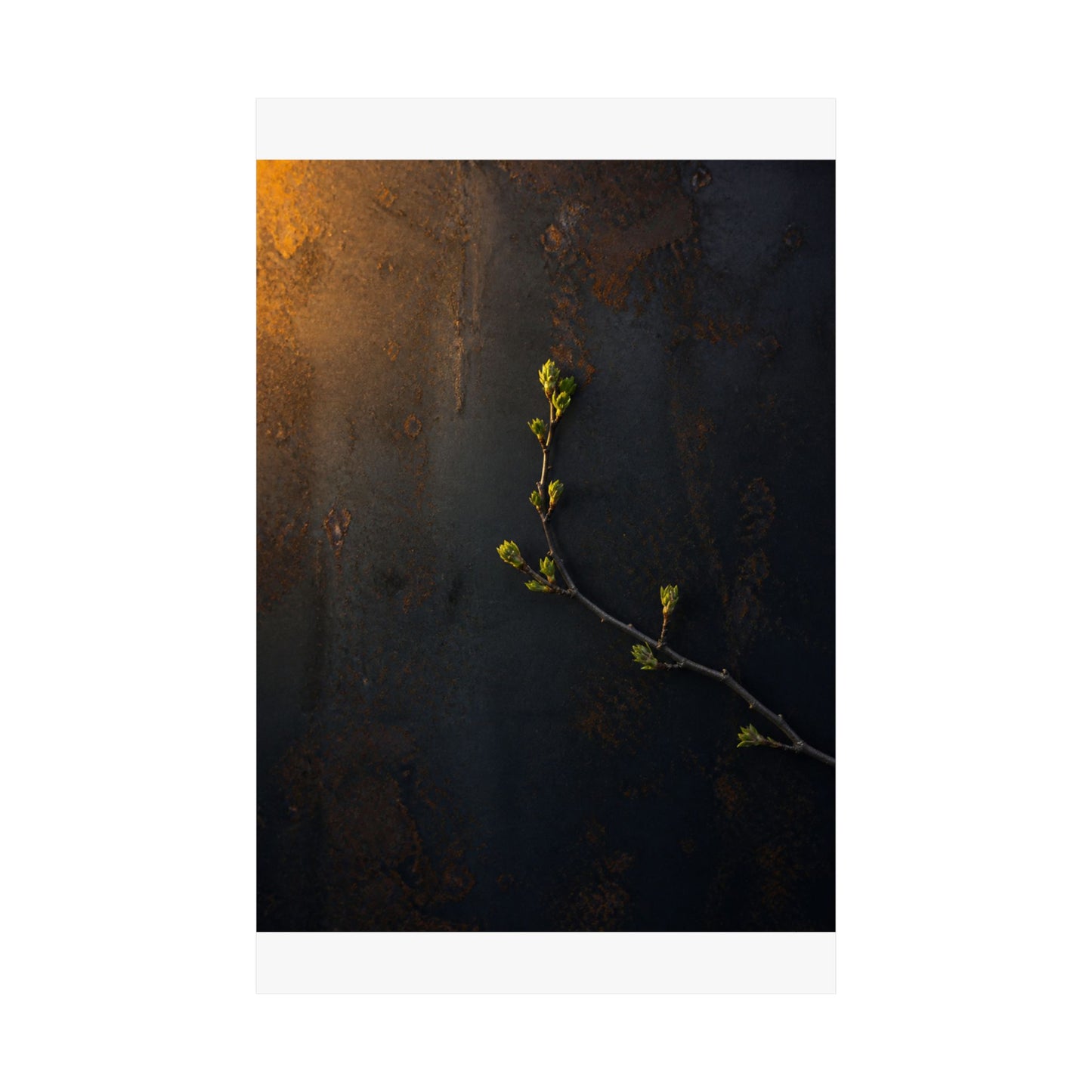Bold Rust Patina Wall Art Print - Moody Minimal Dark Japandi