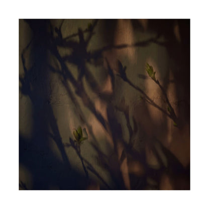 Shadow Play Spring Wall Art Print | Dark Japandi Sophisticated Design
