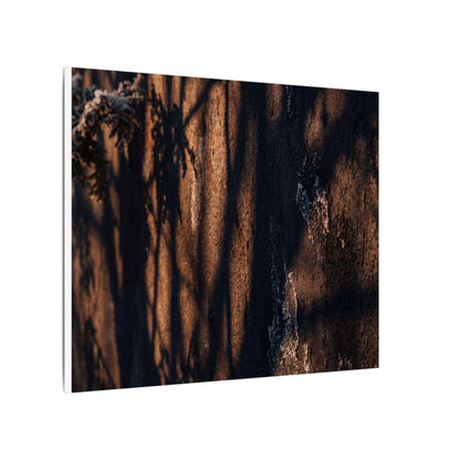 Golden Hour Shadow Play Canvas Art - Dark Japandi Fukinsei