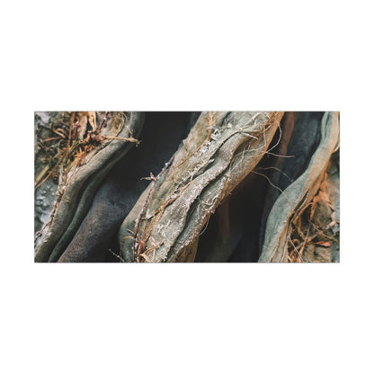 Silk Drape Winter Canvas Art | Japandi Cozy Design