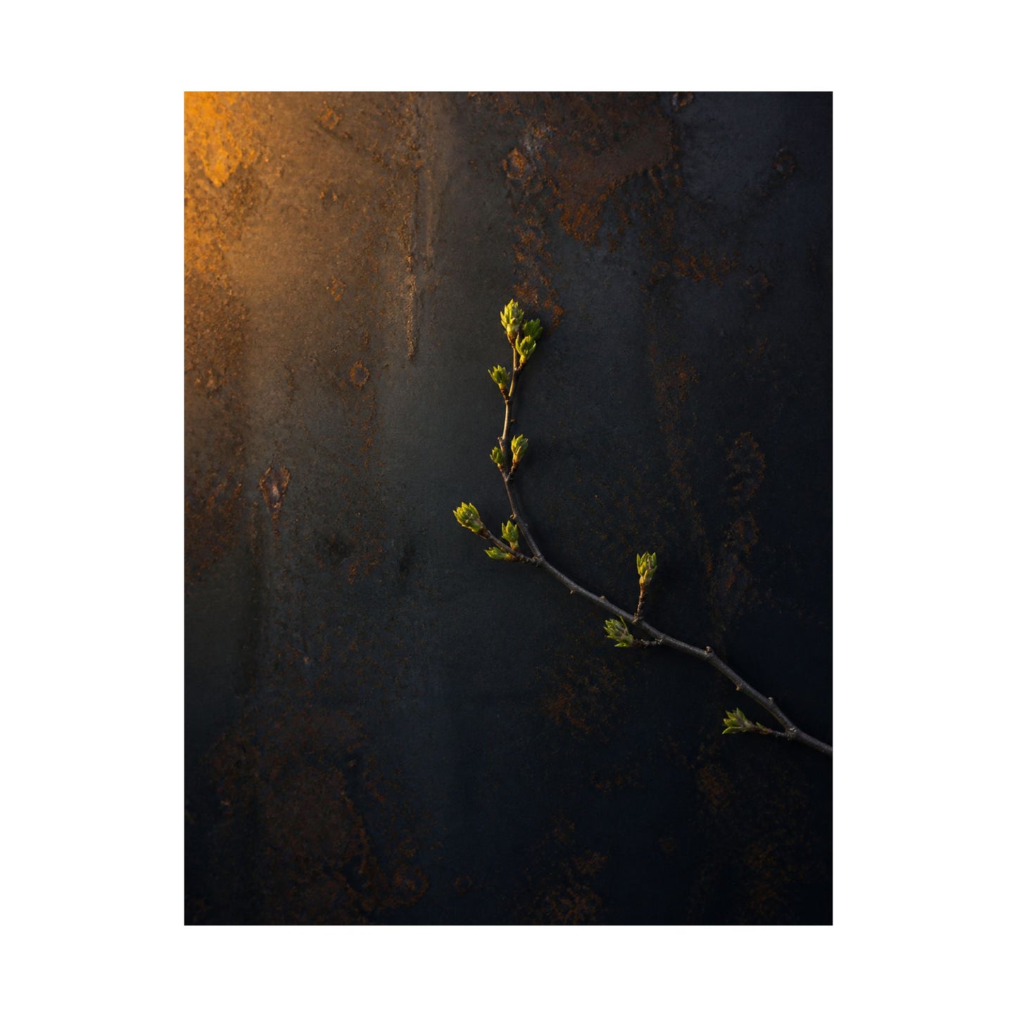 Bold Rust Patina Wall Art Print - Moody Minimal Dark Japandi