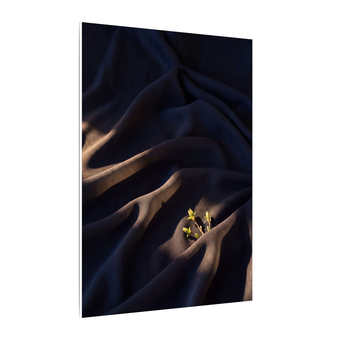 Silk Drape Shadow Zen Canvas Art | Luxurious Dark Japandi Art