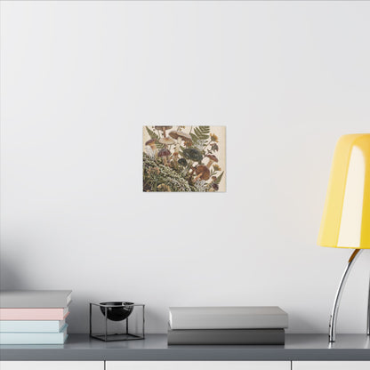 Winter Wild Mushrooms Herbarium Canvas Art | Enchanting Decor