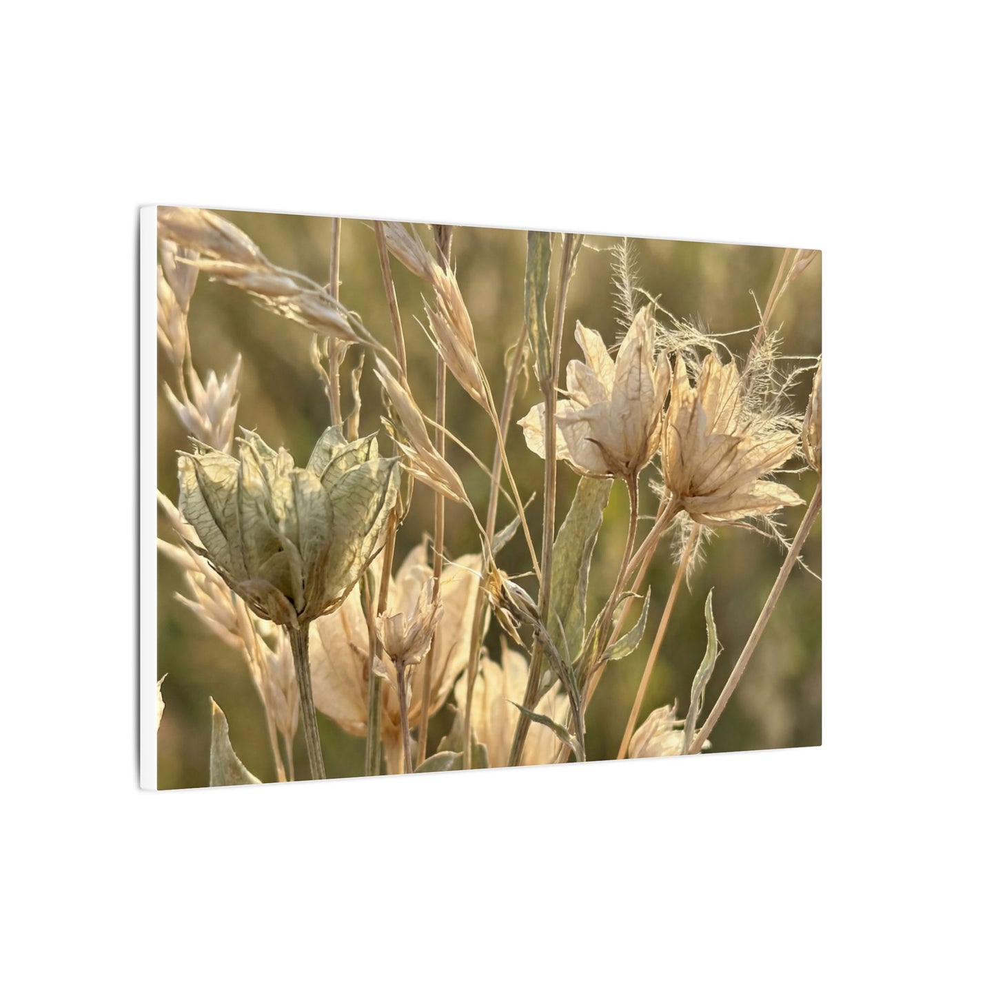 Summer Dried Flowers Minimal Line Canvas Art | Cozy Decor
