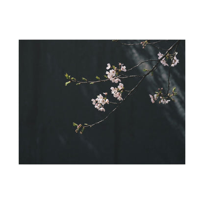 Cherry Blossom Spring Canvas Art | Dark Japandi Sophisticated Design Art Print