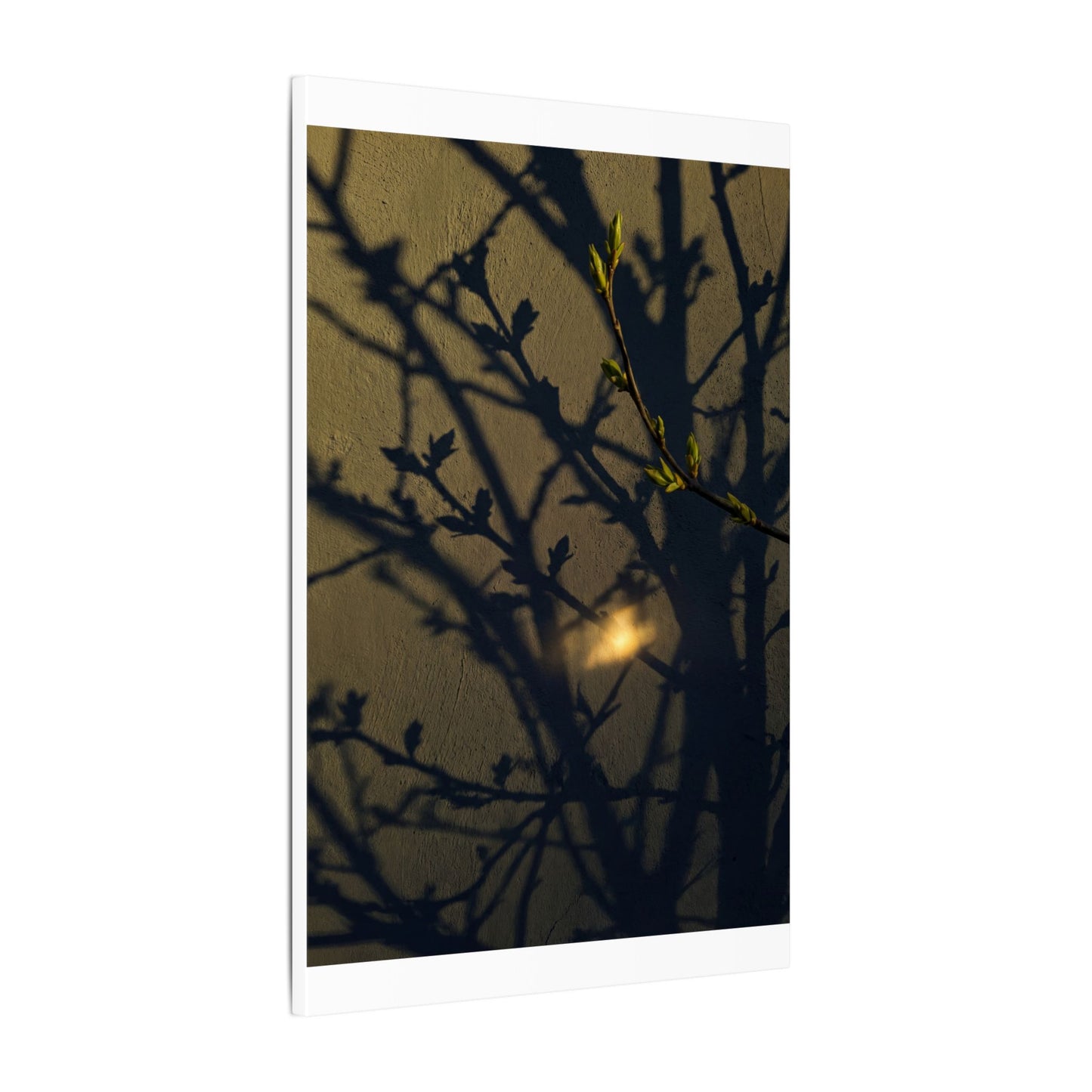 Bold Shadow Play Canvas Art - Moody Minimal Dark Japandi