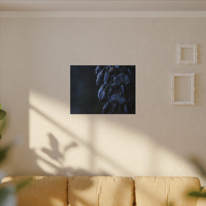 Winter Wisteria Shadow Zen Canvas Art | Atmospheric Decor