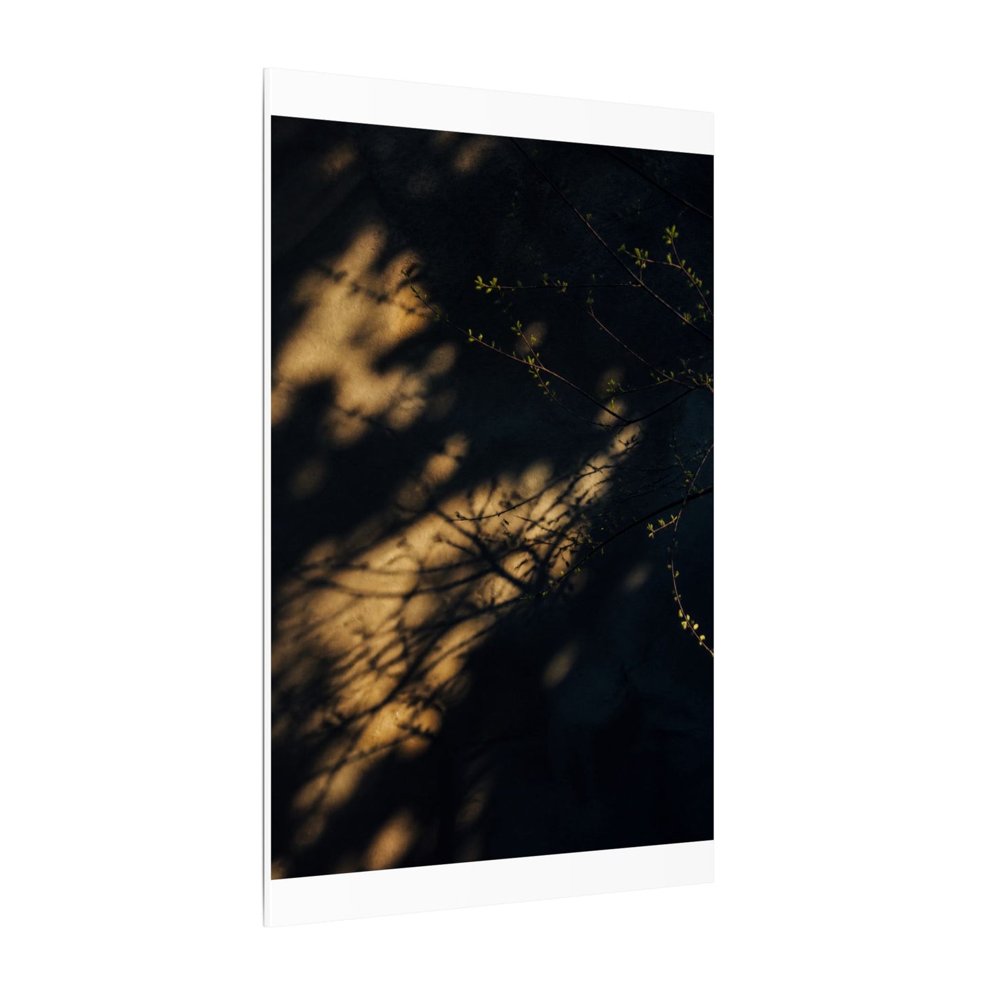 Moody Shadow Play Canvas Art - Moody Minimal Dark Japandi