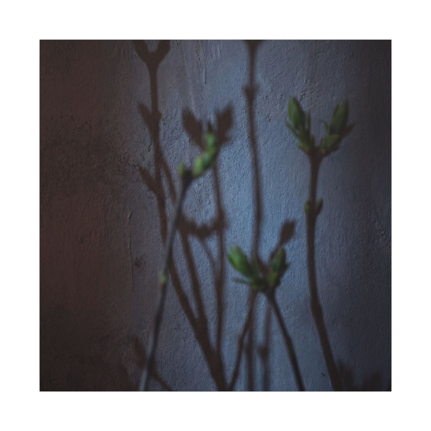 Shadow Play Spring Canvas Art | Dark Japandi Sophisticated Design