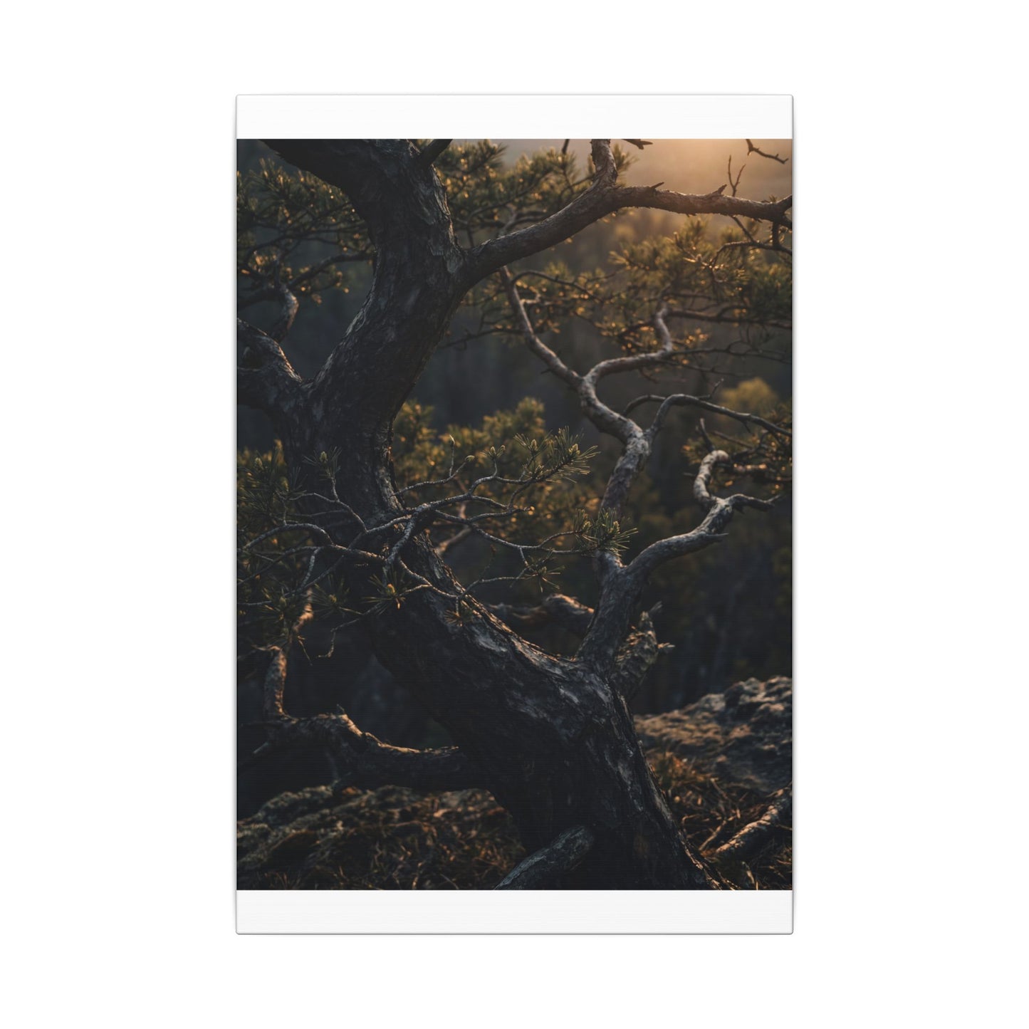 Moody Pine Tree Canvas Art - Moody Minimal Dark Japandi