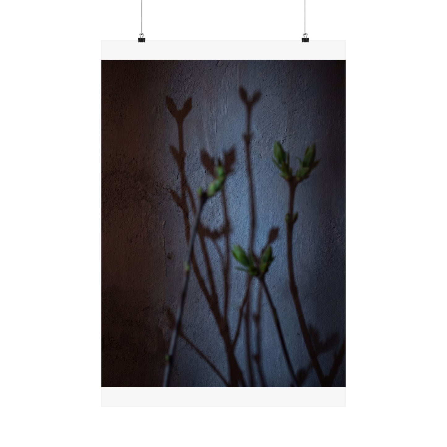 Spring Shadow Play Shadow Zen Wall Art Print | Moody Decor