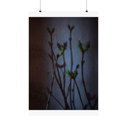Spring Shadow Play Shadow Zen Wall Art Print | Moody Decor