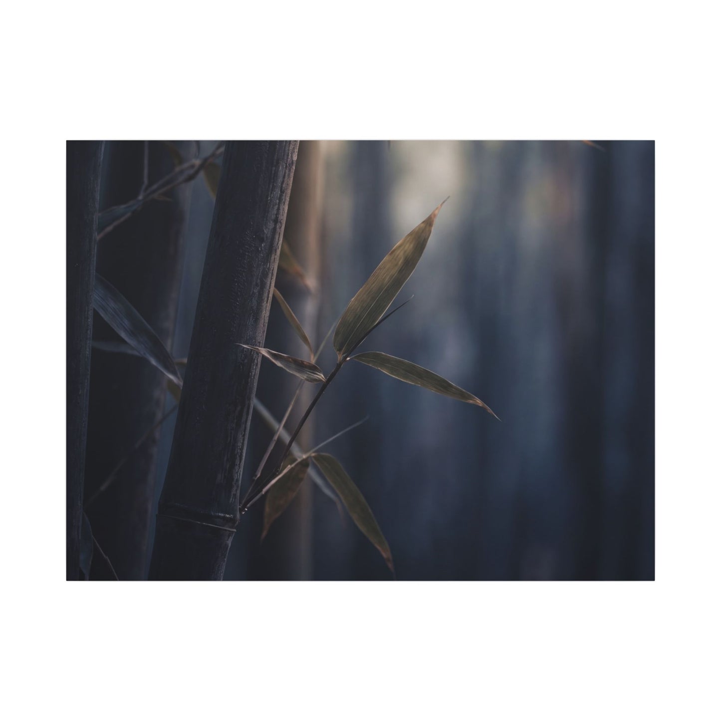 Dark Japandi Bamboo Grove in Dawn | Moody Minimal Canvas Art Art Print