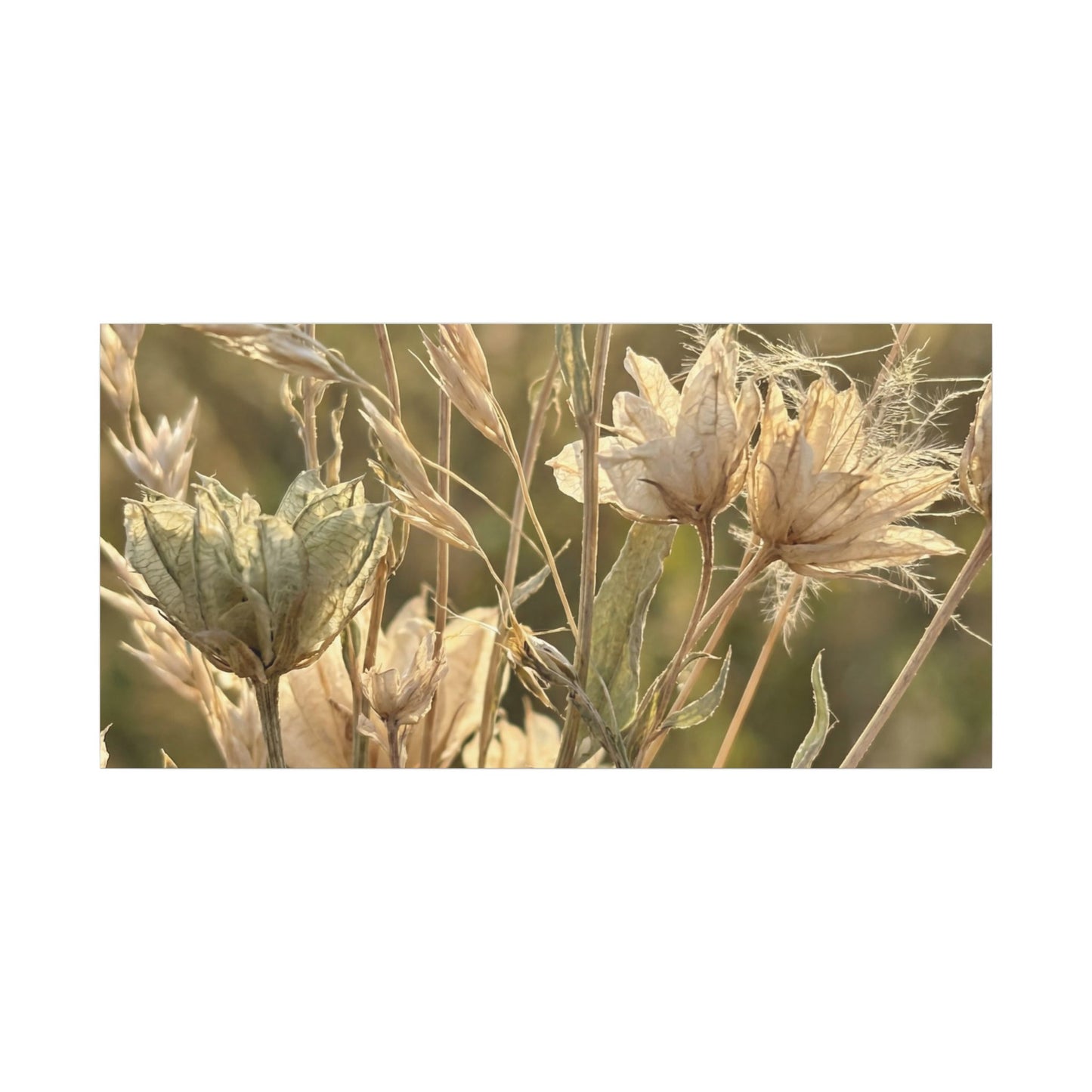 Summer Dried Flowers Minimal Line Canvas Art | Cozy Decor