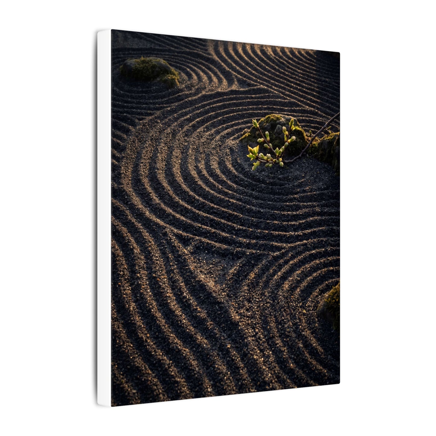 Spring Rock Garden Shadow Zen Canvas Art | Atmospheric Decor