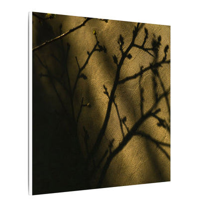 Golden Hour Shadow Play Canvas Art - Dark Japandi Seijaku