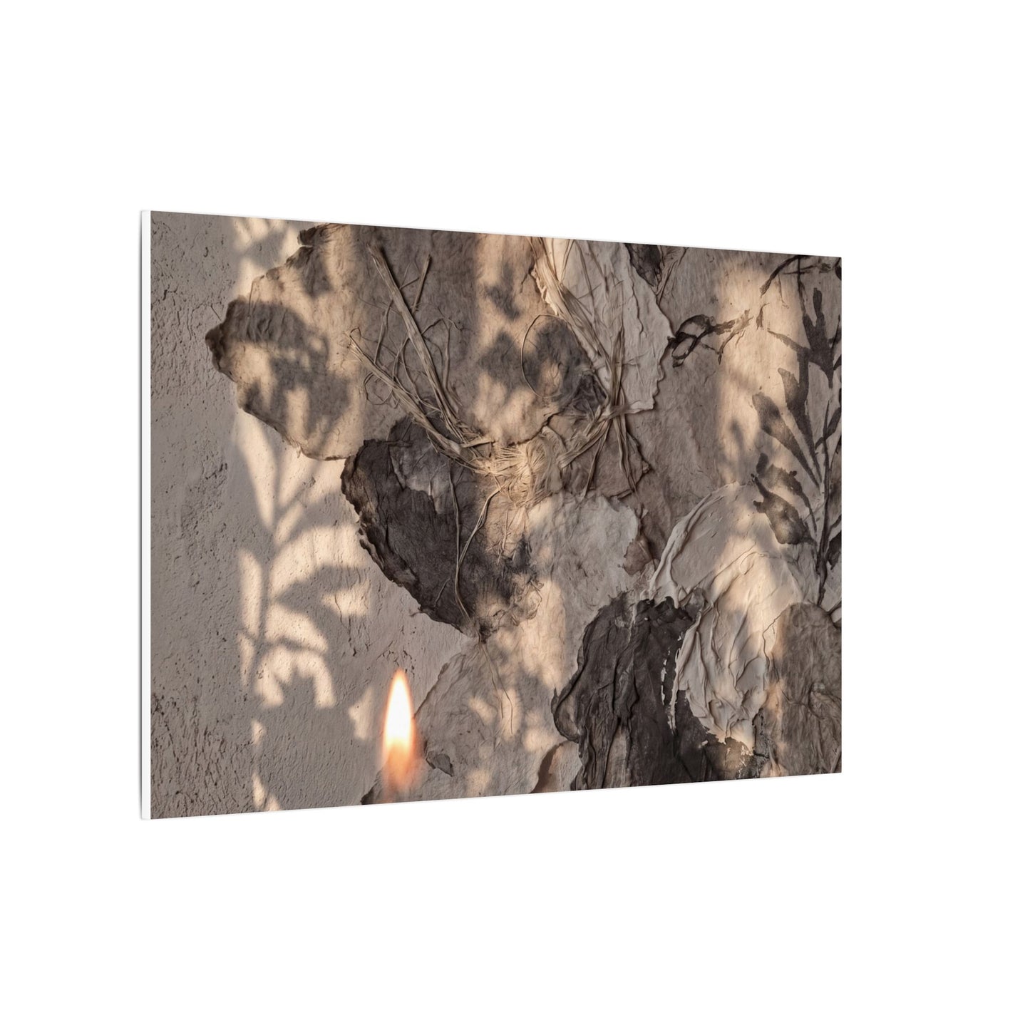 Shadow Play Summer Canvas Art | Japandi Elegant Design