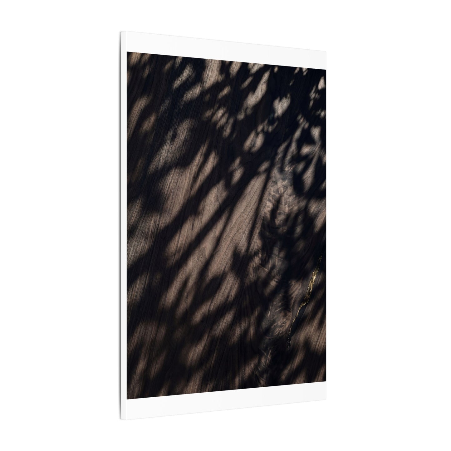 Shadow Play Summer Canvas Art | Dark Japandi Moody Design
