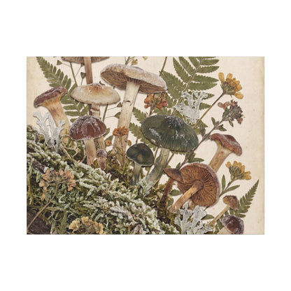 Winter Wild Mushrooms Herbarium Canvas Art | Enchanting Decor