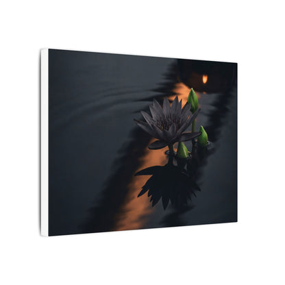 Seijaku Lotus Flower Canvas Art - Dark Japandi Shadow Zen