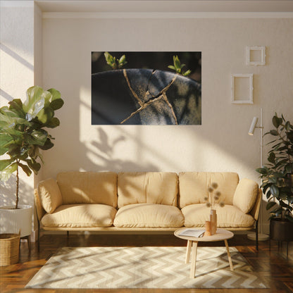 Seijaku Broken Pottery Canvas Art - Dark Japandi Shadow Zen