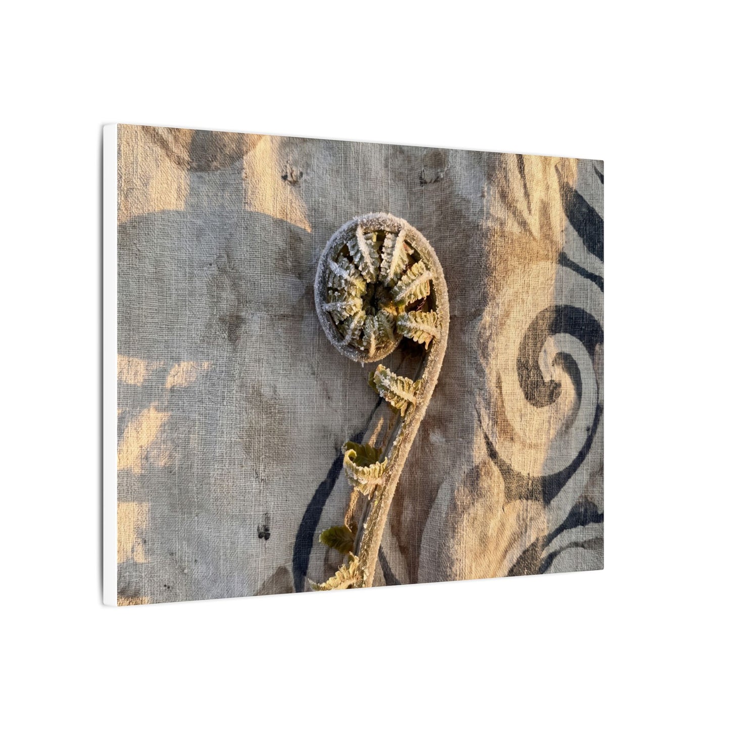 Fern Unfurling Canvas Art | Winter Japandi Japanese Pattern Art