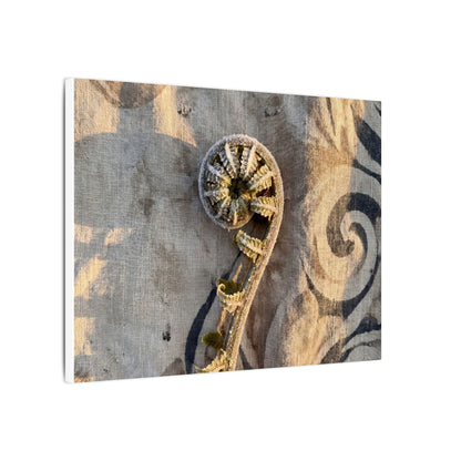 Fern Unfurling Canvas Art | Winter Japandi Japanese Pattern Art