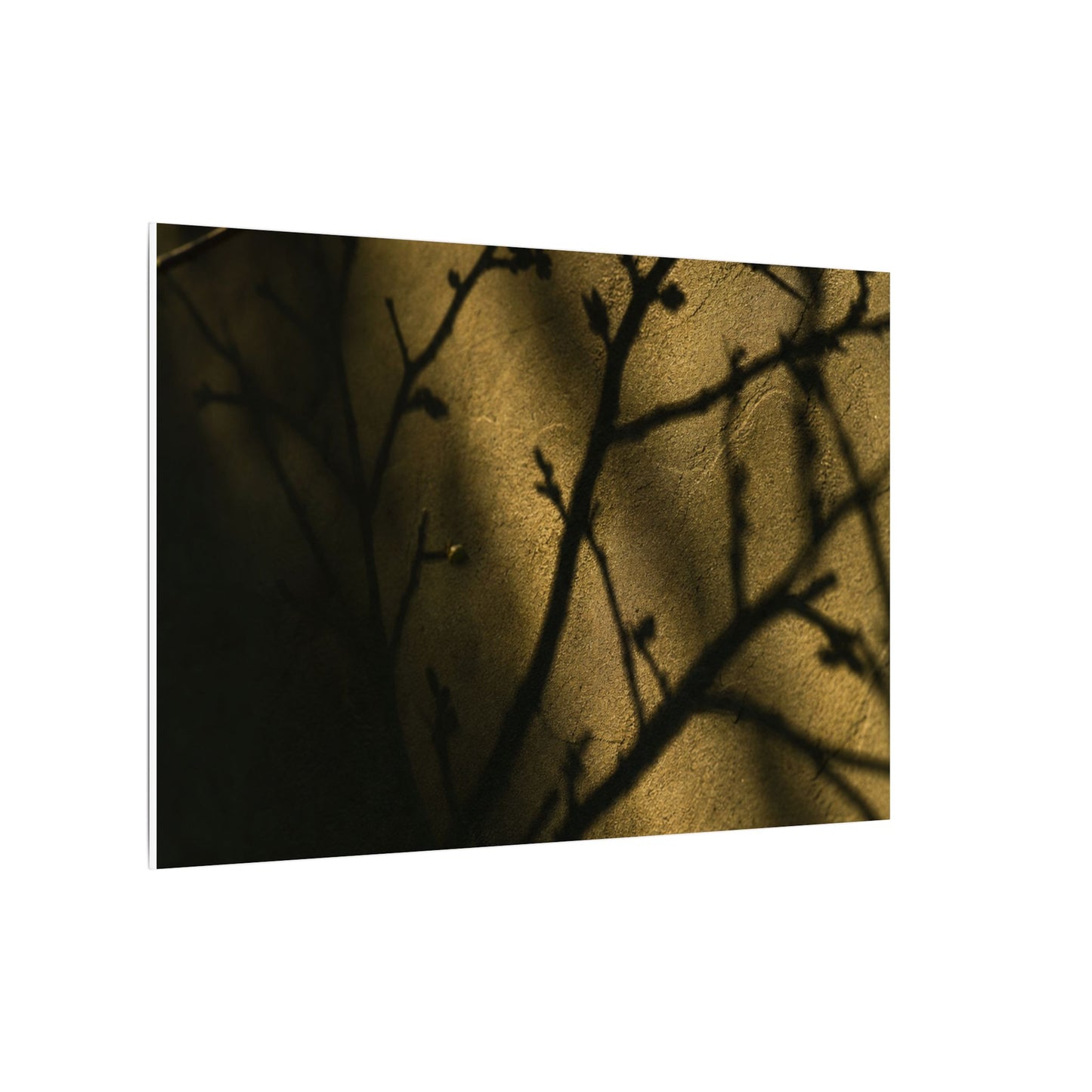 Golden Hour Shadow Play Canvas Art - Dark Japandi Seijaku